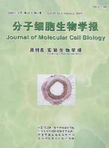 分子细胞生物学报.英文版.