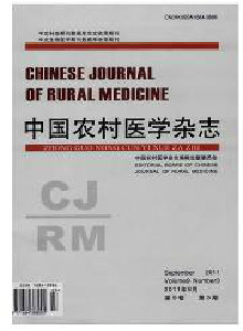 中国农村医学杂志