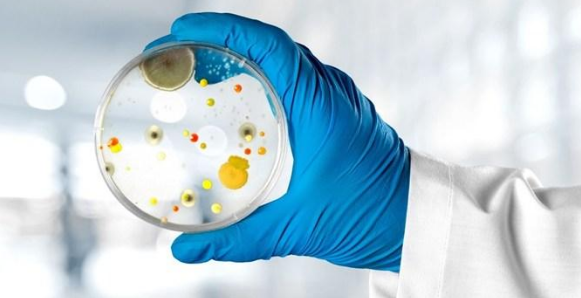 医学检验专业实习生临床微生物实习带教方案探索与实践