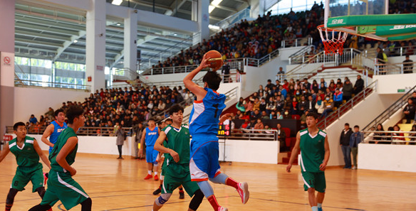 大学体育教学篮球体能训练的有效策略