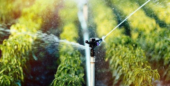 节水灌溉水利工程施工技术探析