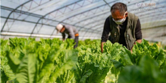 	浅谈广饶县农业植物检疫工作现状及对策