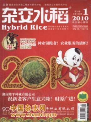 水稻种植论文