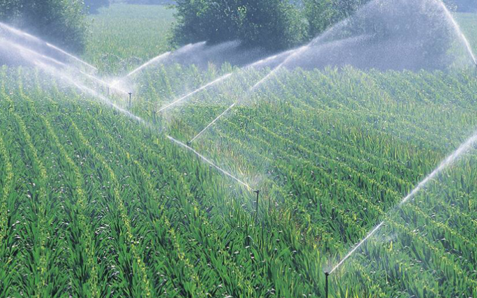 物联网技术在现代农业节水灌溉中的应用研究