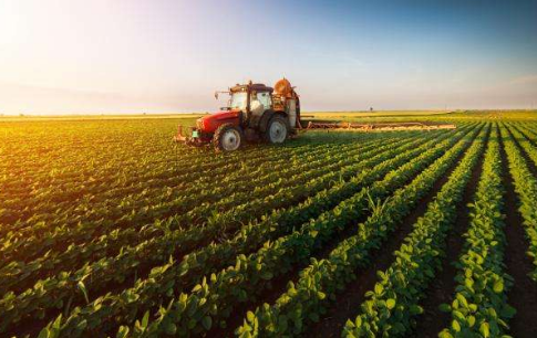 农产业功能区视野下农业发展研究