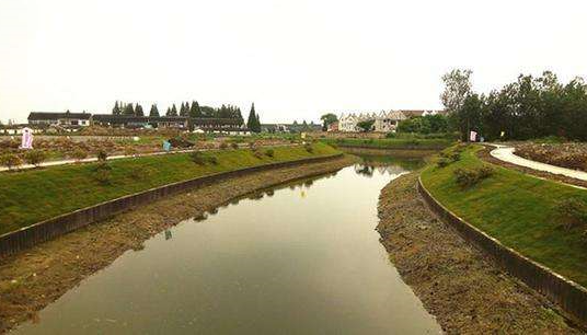 生态水利工程在中小河道治理的应用