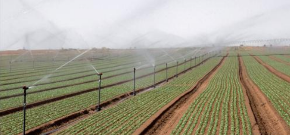 农田水利工程节水灌溉技术应用分析