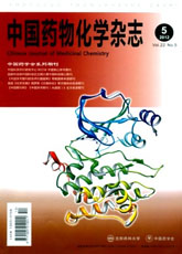 中国药物化学杂志