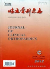 临床骨科杂志