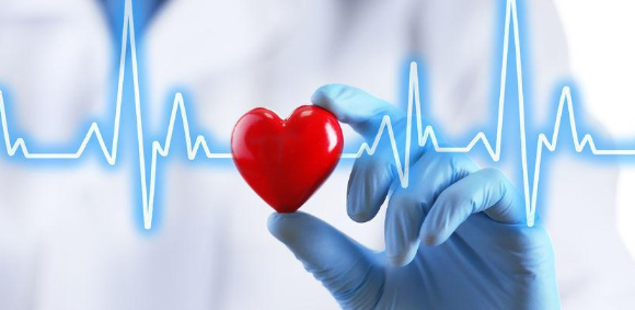 	心脏康复理念融入心血管疾病临床护理教学中的实践