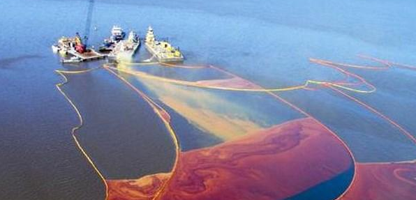 大庆湿地石油污染及其生物修复研究